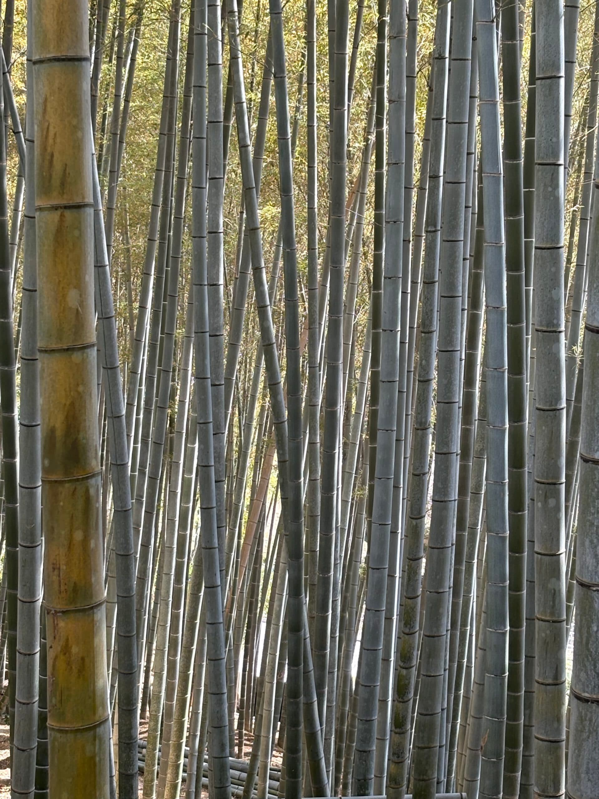Einladung zum Interdisziplinären Lehrgang