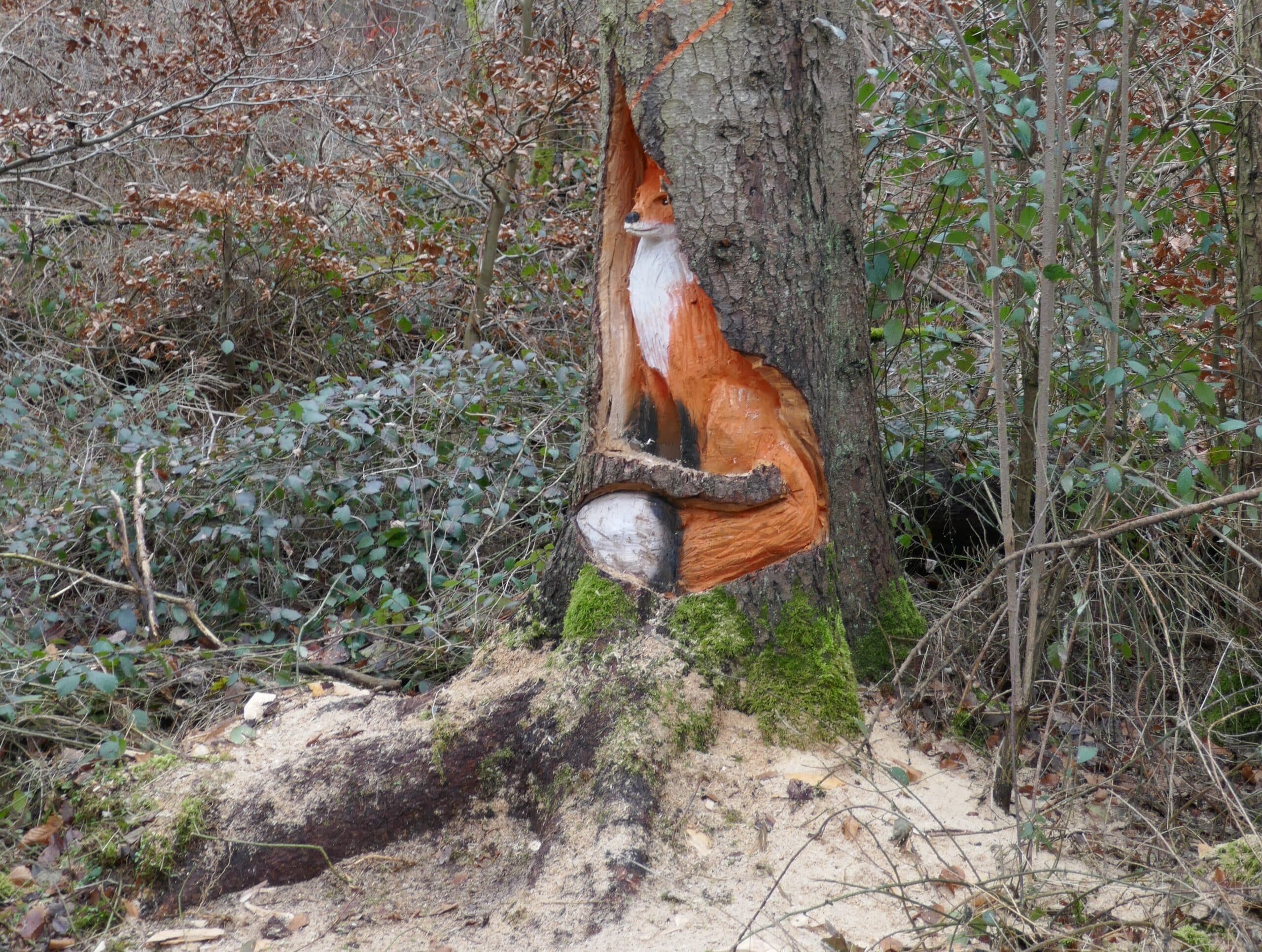 Unsere Auftaktwanderung