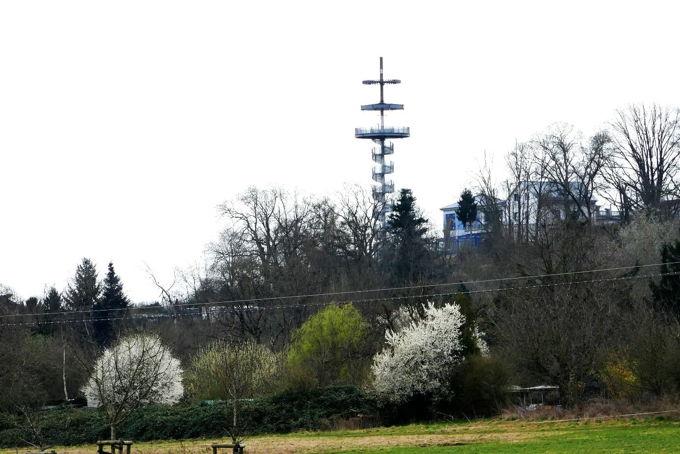 Rund um den Wingertsberg