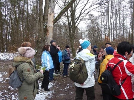 Unterwegs zwischen Dietzenbach und Heusenstamm